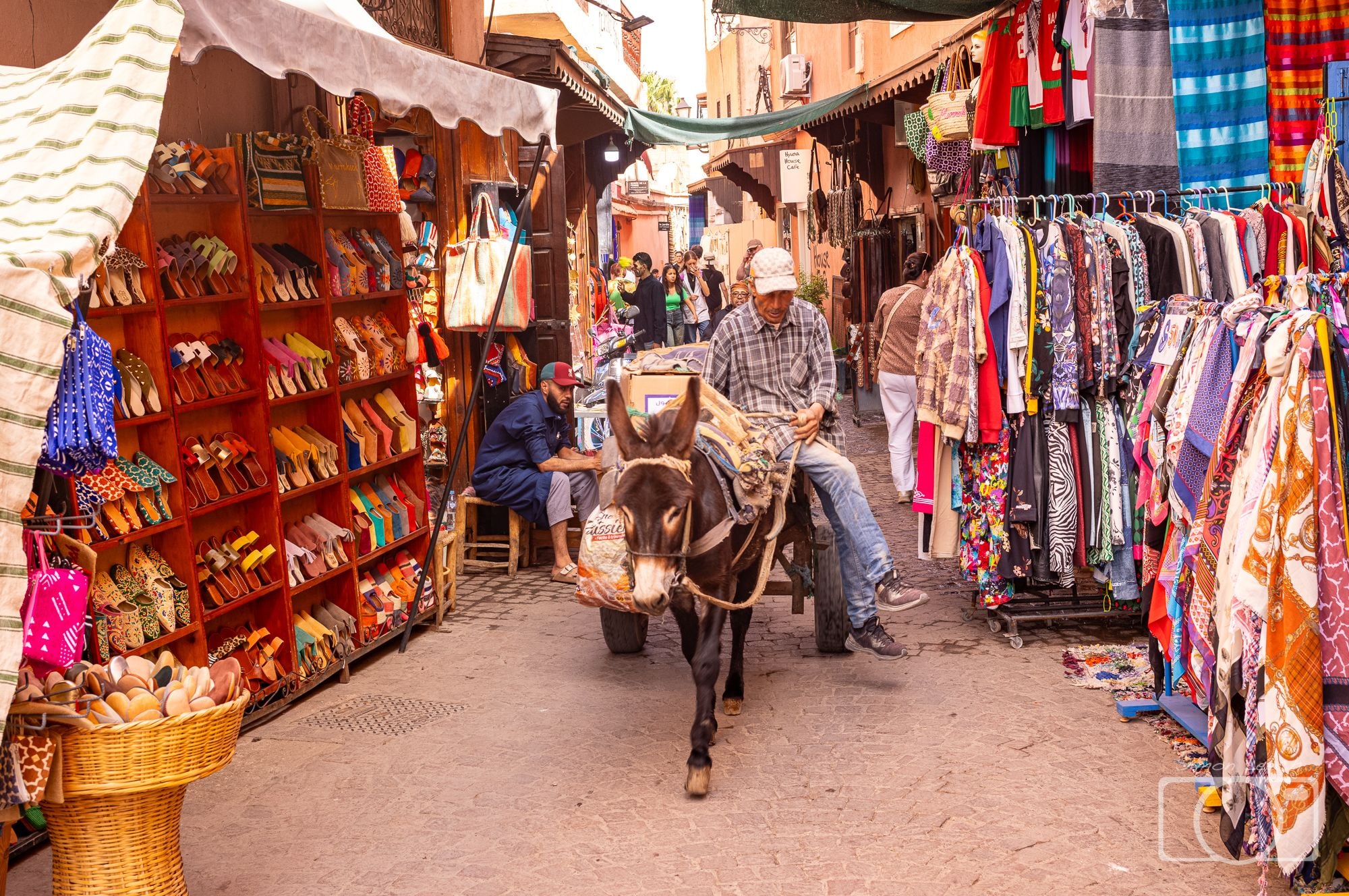 Donkey and cart