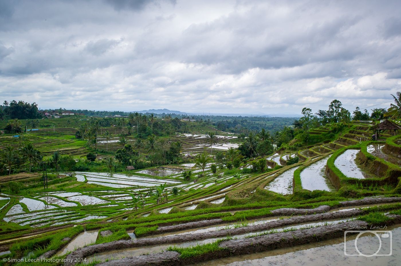 Jatiluwih Rice Fields, Bali: July 2014 (10)