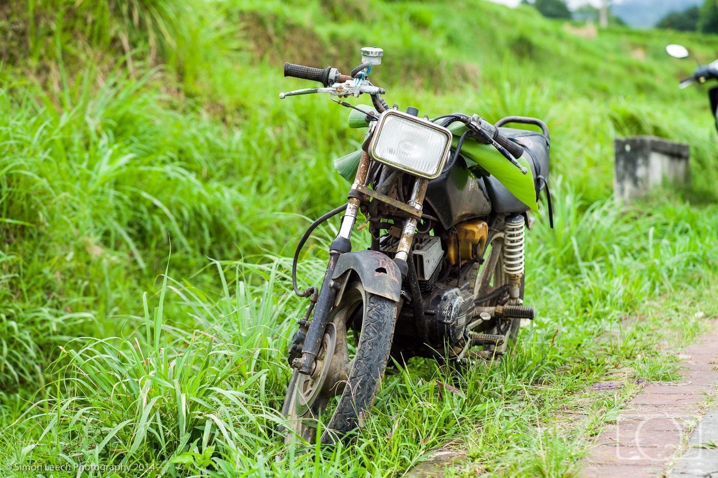 Jatiluwih Rice Fields, Bali: July 2014 (9)