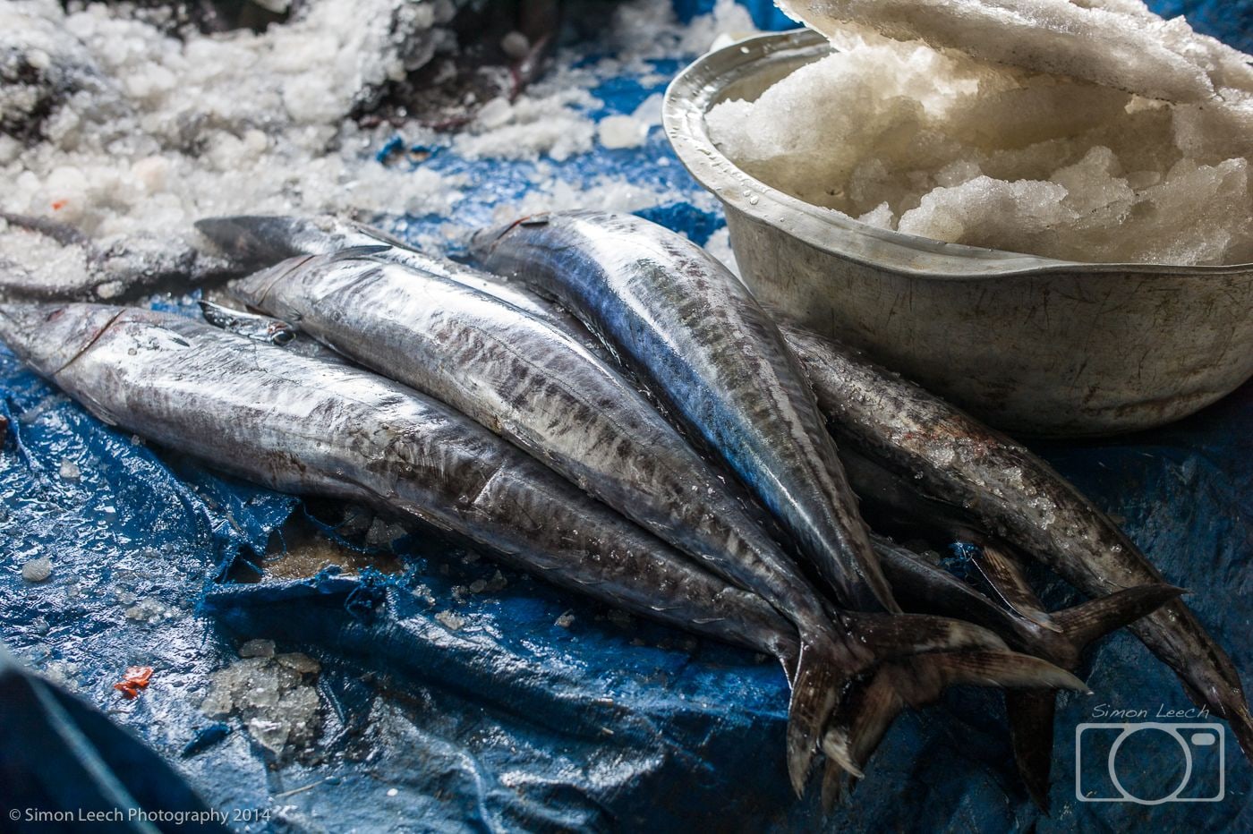 Denpasar Pasar Badung (Market), Bali: July 2014 (7)