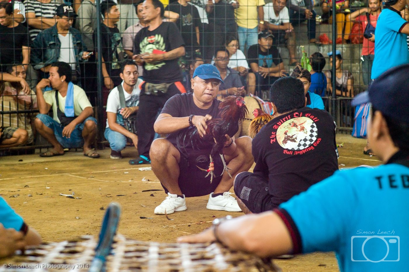 Tajen - Cockfighting in Bali: July 2014 (3)