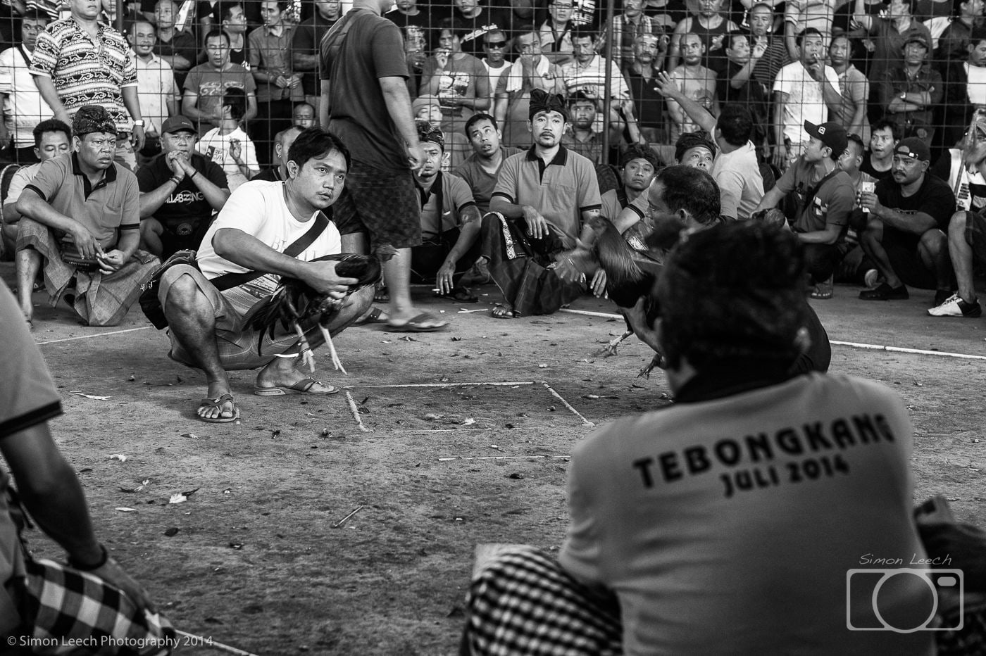 Balinese cock fighting