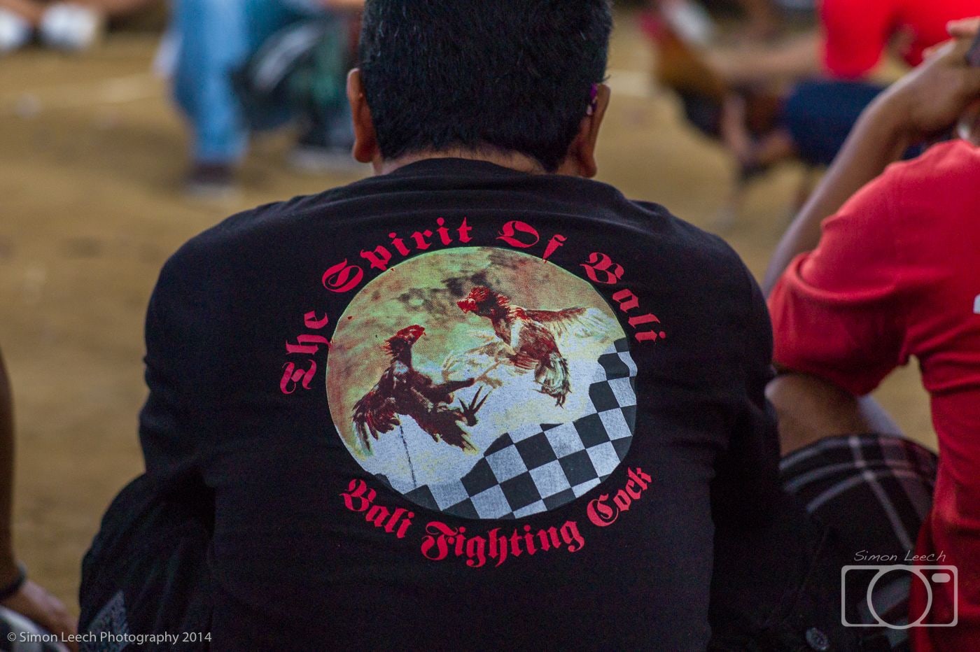 Tajen - Cockfighting in Bali: July 2014 (12)